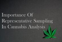 Importance Of Representative Sampling In Cannabis Analysis