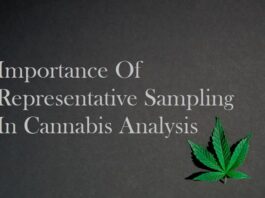 Importance Of Representative Sampling In Cannabis Analysis