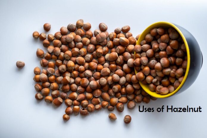Uses of Hazelnut