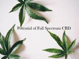 Potential of Full Spectrum CBD
