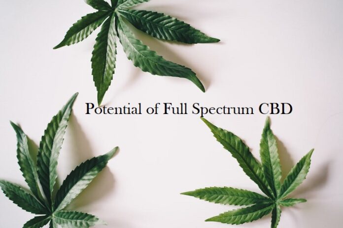 Potential of Full Spectrum CBD