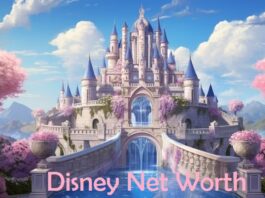 Disney Net Worth
